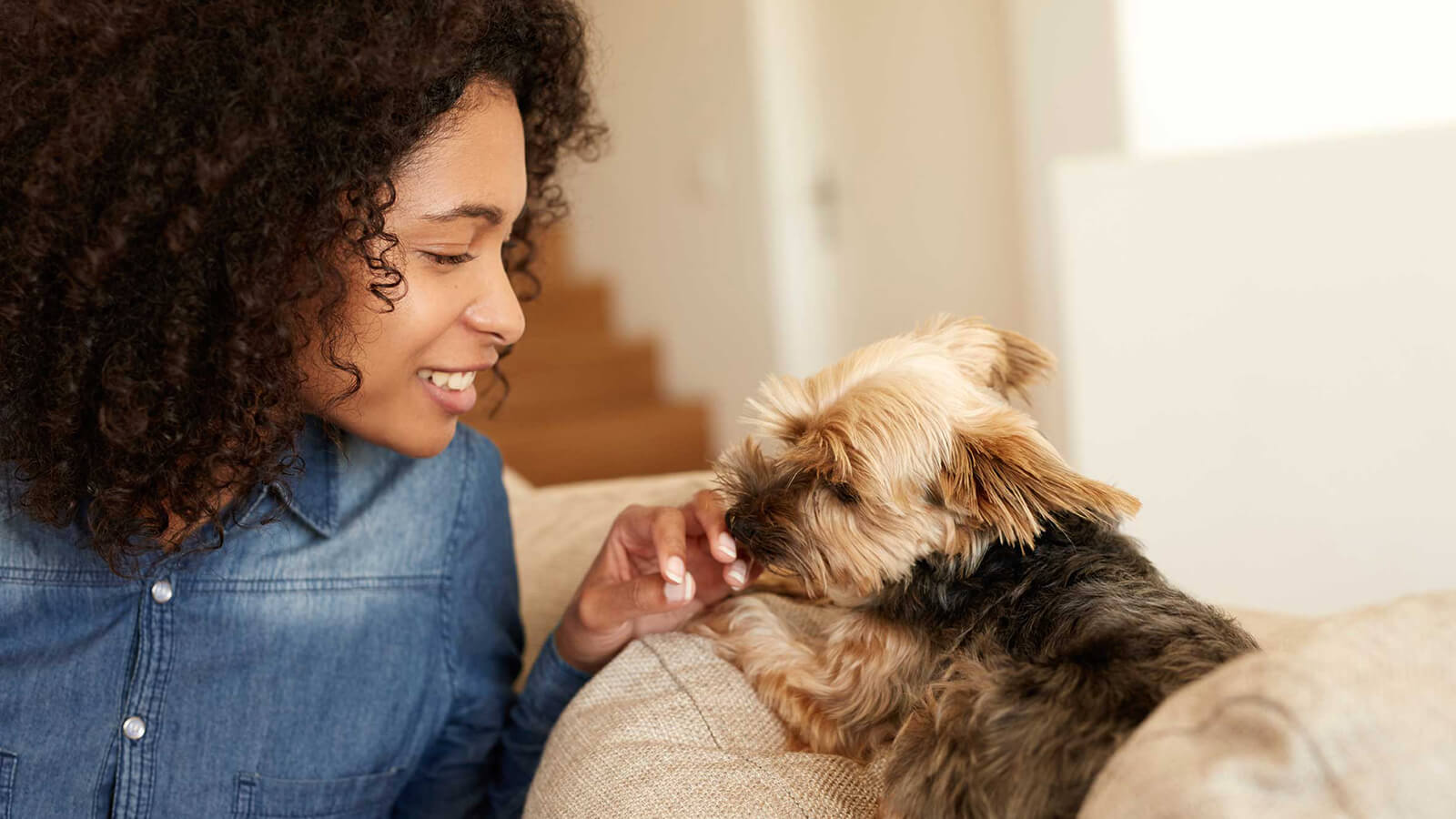 Rescue Pals - Nysea Dogs