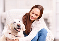 Professional pet grooming session